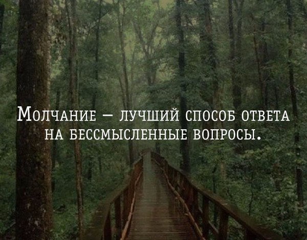 .Life.Is.Life. - 17  2016  15:55