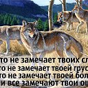 ���� �������, ������, 51 ��� - ��������� 30 ���� 2016