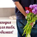 ���� ���������, ���, 62 ���� - ��������� 8 ��� 2016 � ������ �������� ��������