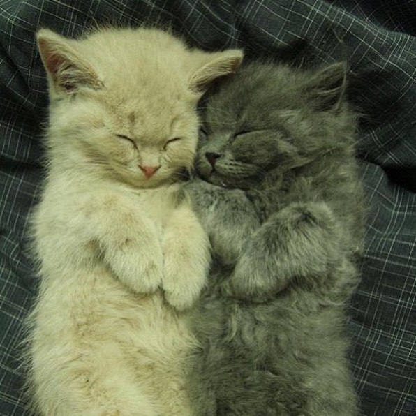  :3 - 4