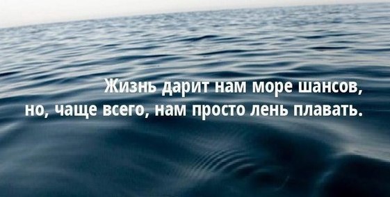 ����������� | ������, �������, �������, luxury - 17 ������ 2016 � 09:52