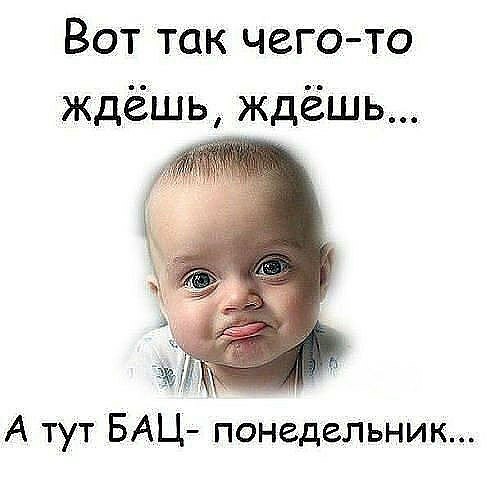  - 11  2016  14:44
