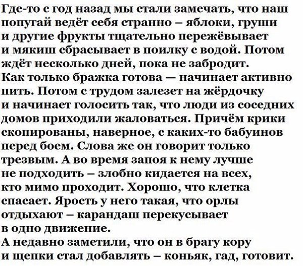   - 28  2016  06:16