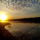 ���� �����, ������, 43 ���� - ��������� 29 ������� 2016 � ������ ���� ����������