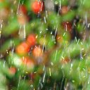 ���� Alex, ������� - ��������� 26 ���� 2016 � ������ ������ ��������