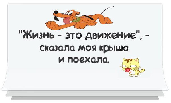 Скажи движение. Жизнь это движение сказала моя крыша и поехала. Мем движение это жизнь сказала крыша и поехала. Жизнь это движение сказала моя крыша и поехала картинка. Статусы жизнь это движение сказала моя крыша и поехала.