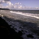 ���� ������, �����������, 40 ��� - ��������� 2 ������ 2016 � ������ ���� ����������