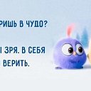 ���� ������, ������ - ��������� 3 ��� 2016 � ������ ���� ����������
