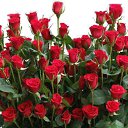 ���� Adam, ������, 58 ��� - ��������� 7 ������� 2016 � ������ ����� 2016�
