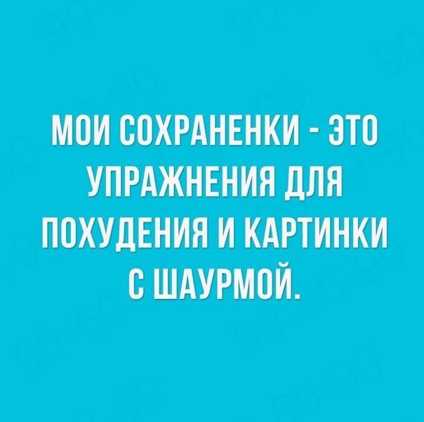    |   - 13  2016  13:06