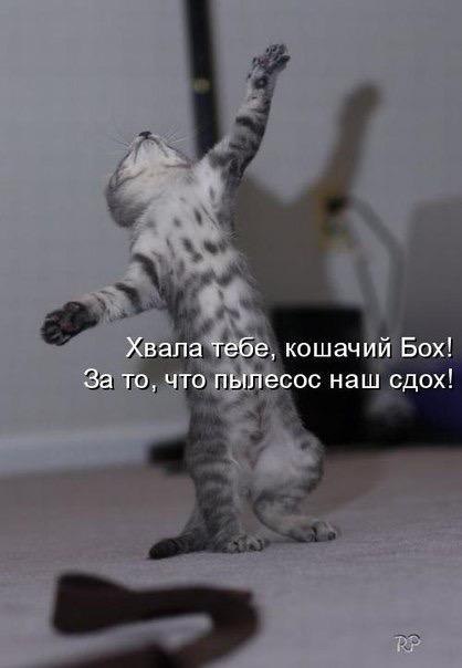    - 6  2016  09:11