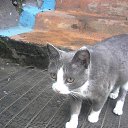 ���� Aleksandr, ������������, 50 ��� - ��������� 13 ������� 2016 � ������ ���� ����������