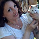 ���� ��������:@:, ���������, 48 ��� - ��������� 28 ���� 2016 � ������ ���� ����������