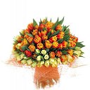 ���� *Ni��*, ������ - ��������� 6 ��� 2016 � ������ ���� ����������