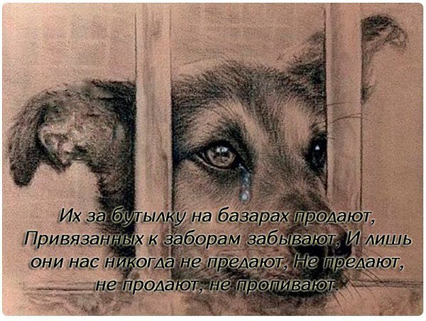 .Life.Is.Life. - 17  2016  15:54