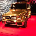 ���� �������, ����� - ��������� 14 ������� 2016 � ������ ���� ����������