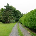 ���� ������, �����, 56 ��� - ��������� 31 ������� 2016 � ������ ������ ������