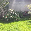 ���� �������, ��������������, 41 ��� - ��������� 28 ������� 2016 � ������ ���� ����������