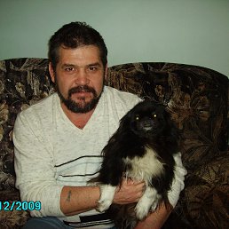 ���� ���������, ������, 61 ��� - ��������� 14 ���� 2016