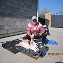 ���� ����, �����������, 49 ��� - ��������� 27 ���� 2016 � ������ ���� ����������