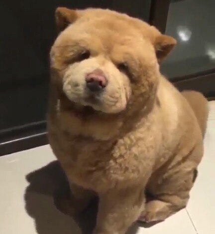 @.  . !!