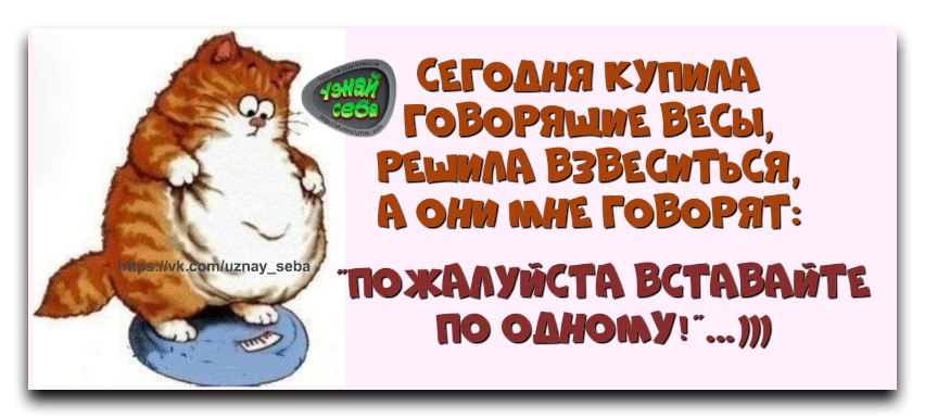 Покупай говорит. Встал на весы прикол. Весы говорят вставайте по одному. Шуточные статусы встала на весы. Встала на весы а они мне.