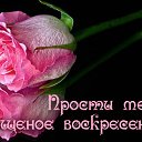   .,  , 49  -  13  2016    