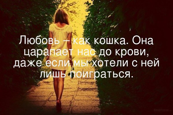, , , ,  - 1  2016  06:40
