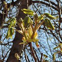  , , 60  -  23  2016       ,18-20.03.16