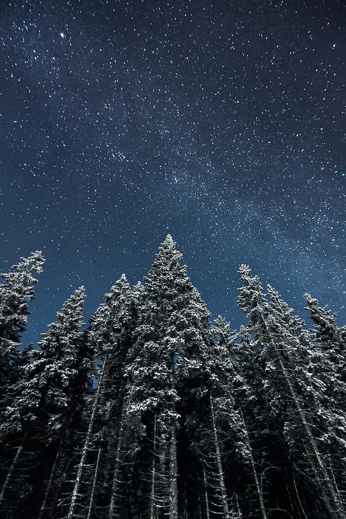     Mikko Lagerstedt.    (Mikko ... - 3