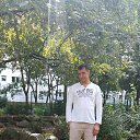  , , 43  -  6  2016