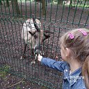 ���� Sveta, ������� - ��������� 23 ��� 2016 � ������ ���������