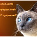 ���� ������, ������ - ��������� 17 ������ 2016 � ������ ���� ����������