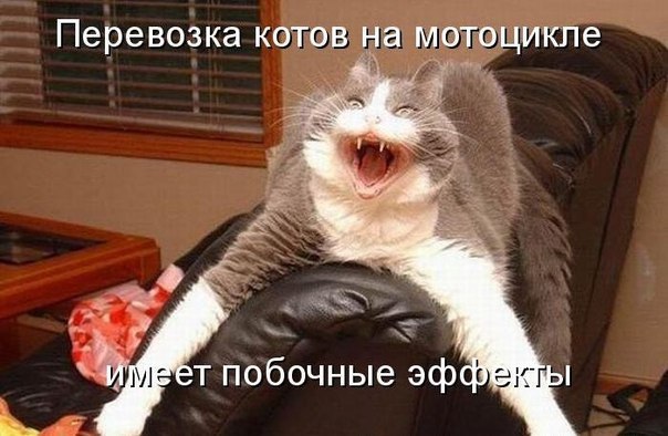  -  - 9  2016  10:23