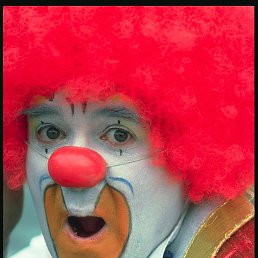 �����, ��������, 63 ����