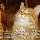  ,  , 63  -  12  2016    