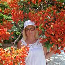  , , 71  -  25  2016   2016.