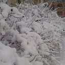 ���� ������, ������������, 55 ��� - ��������� 10 ���� 2016 � ������ ����� 2016�