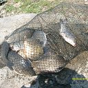 ������ �������� ����.. �� ������� ���� �������