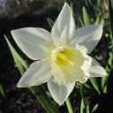 ���� St., ������, 59 ��� - ��������� 2 ������� 2016 � ������ ������-���� 2016�