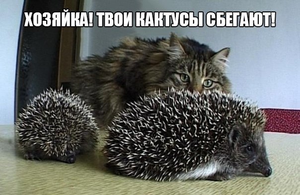   - 2  2016  23:15