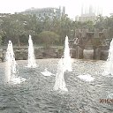 ���� ������, ������, 40 ��� - ��������� 31 ����� 2016 � ������ �������