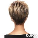 ���� �����, ����-�����������, 55 ��� - ��������� 14 ������ 2016 � ������ ���� ����������