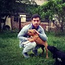 ���� �����, ������ - ��������� 29 ��� 2016