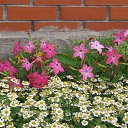 ���� �����, ������, 48 ��� - ��������� 14 ������� 2016 � ������ ��������