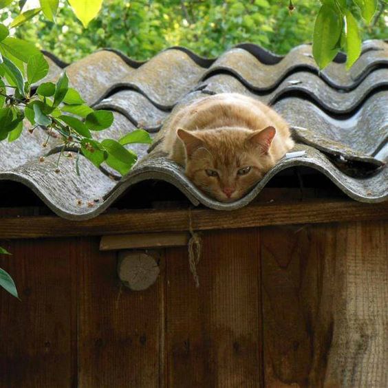 ������ - ��������� - 7 ������� 2016 � 14:23