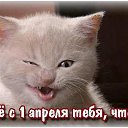 ���� ������, ��������� - ��������� 31 ����� 2016 � ������ ������ ��������
