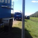  ., , 50  -  17  2016   ................