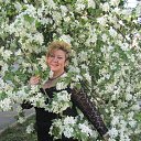 ���� ���������, ������� - ��������� 9 ��� 2016 � ������ ���� ����������