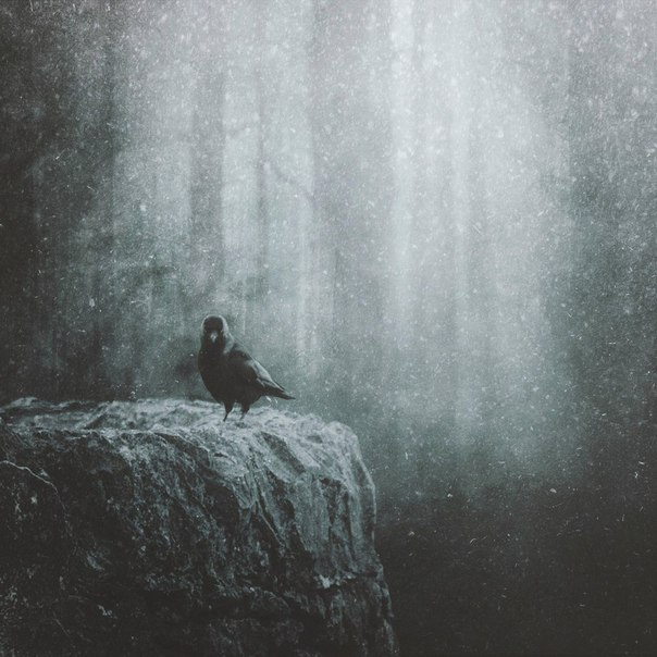 ,  Dark Souls,    . - 3